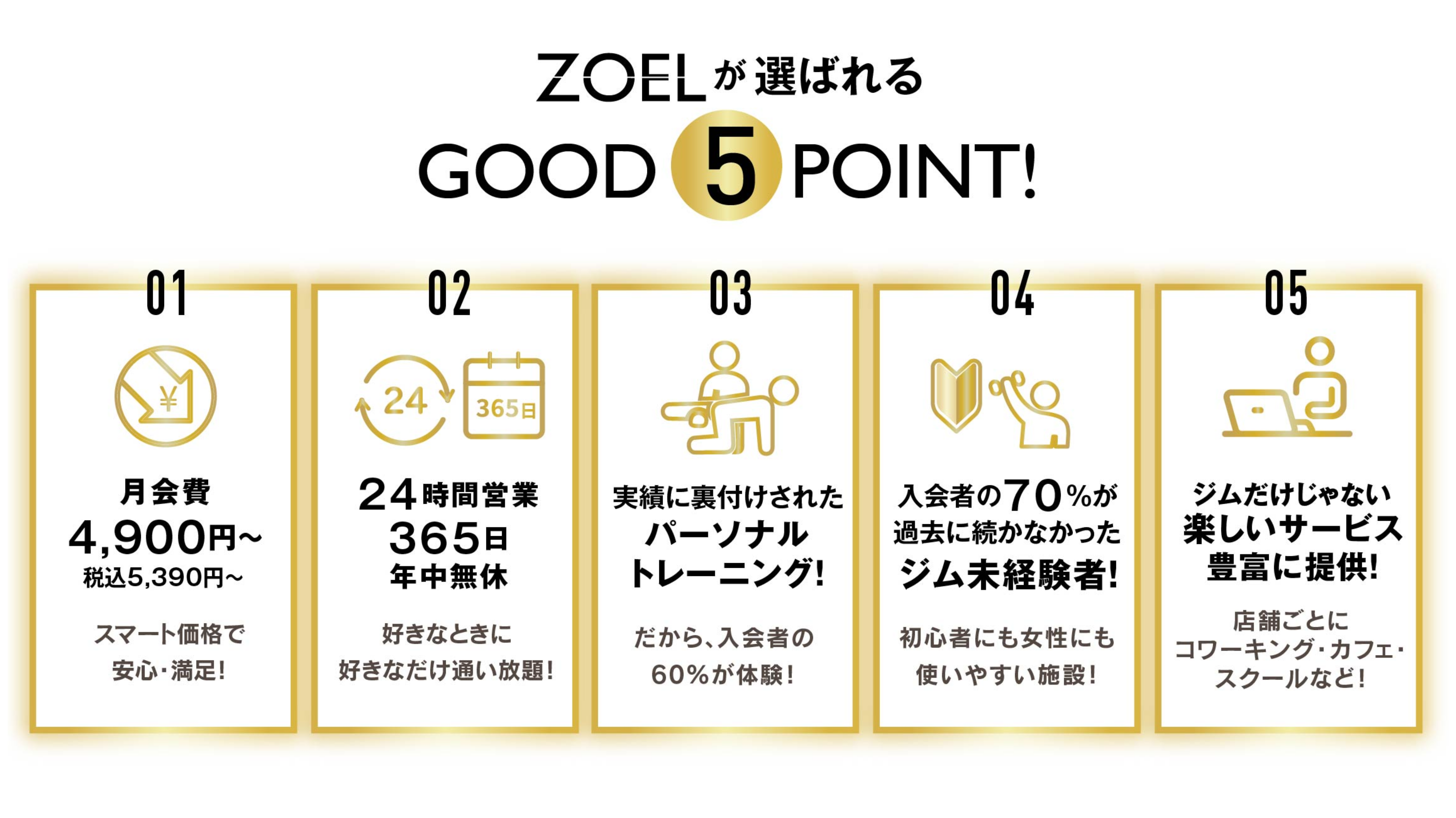 ZOELFC（PC）6